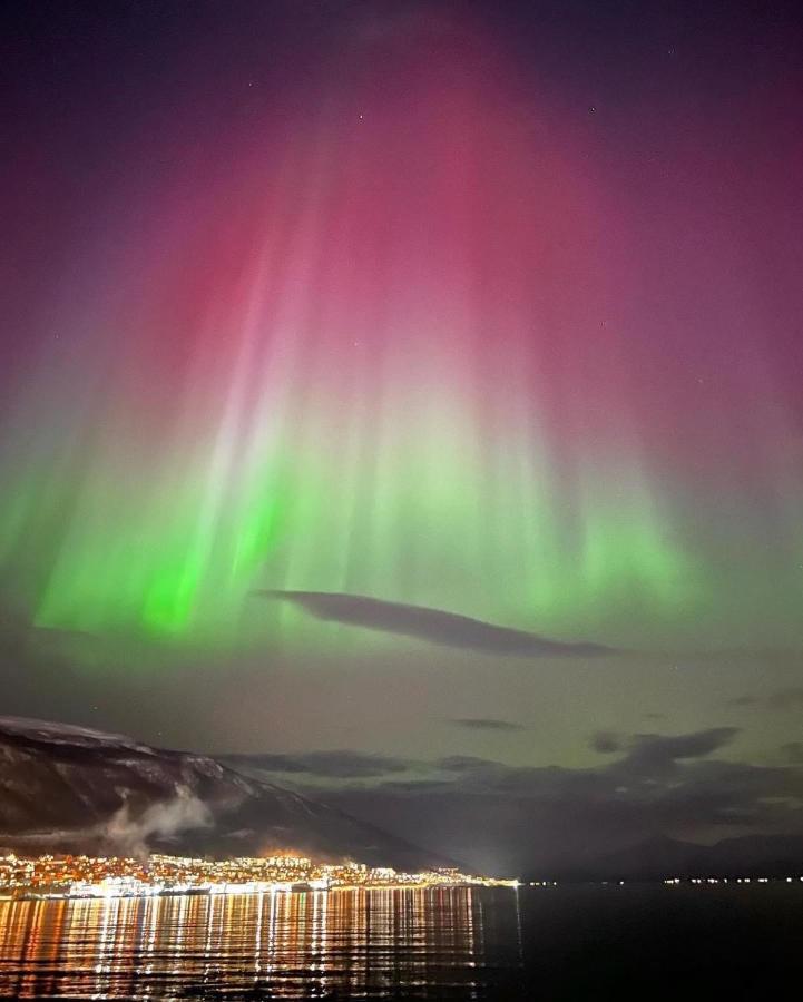 Rom Sentralt I Tromso Apartment Exterior photo