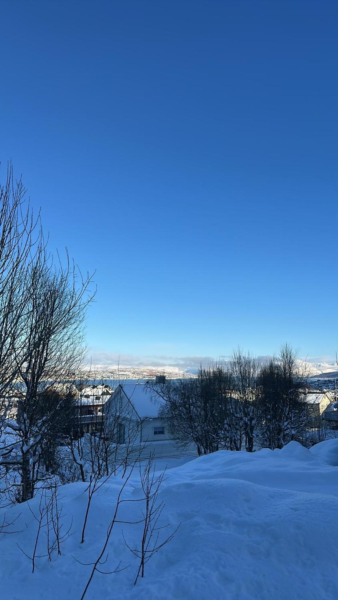 Rom Sentralt I Tromso Apartment Exterior photo